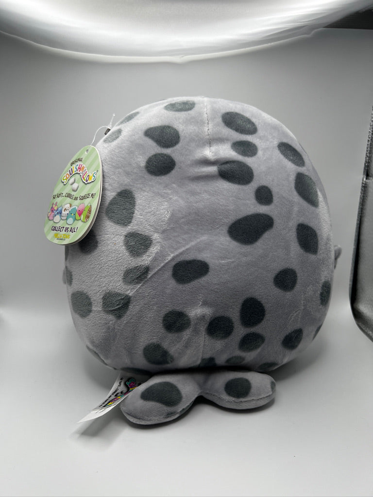 Squishmallow Isis, la foca manchada, peluche suave gris de 8" (NWT)