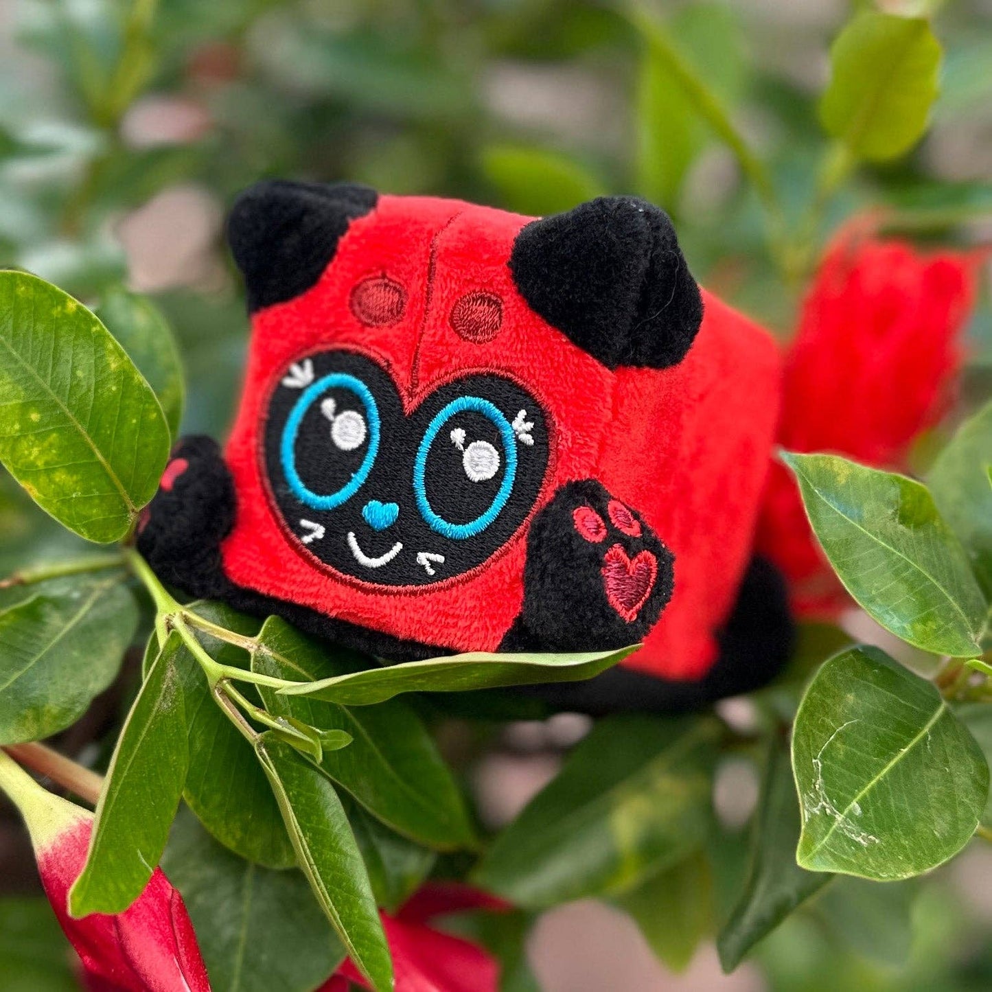 Squaredy Cats (Smol/mini) - "Scarlettini" Lady Bug